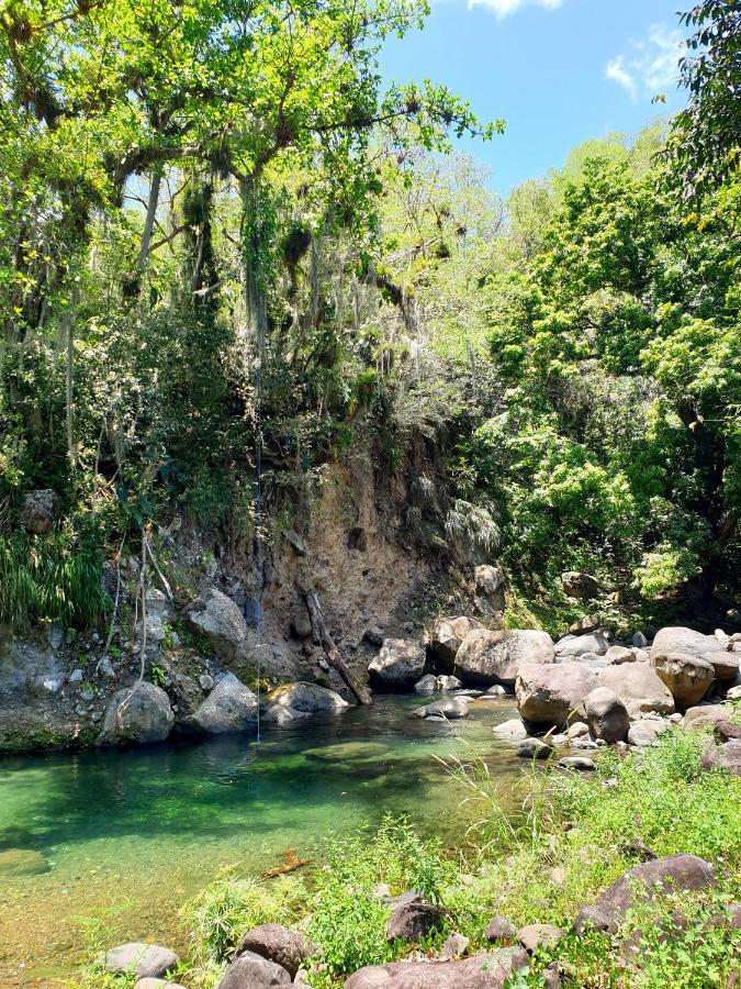 Gite 4 Etoiles, La Vieille Sucrerie St Claude Guadeloupe, Jacuzzi Spa Privatif, Vue Exceptionnelle Sur La Mer Des Caraibes 바스테르 외부 사진