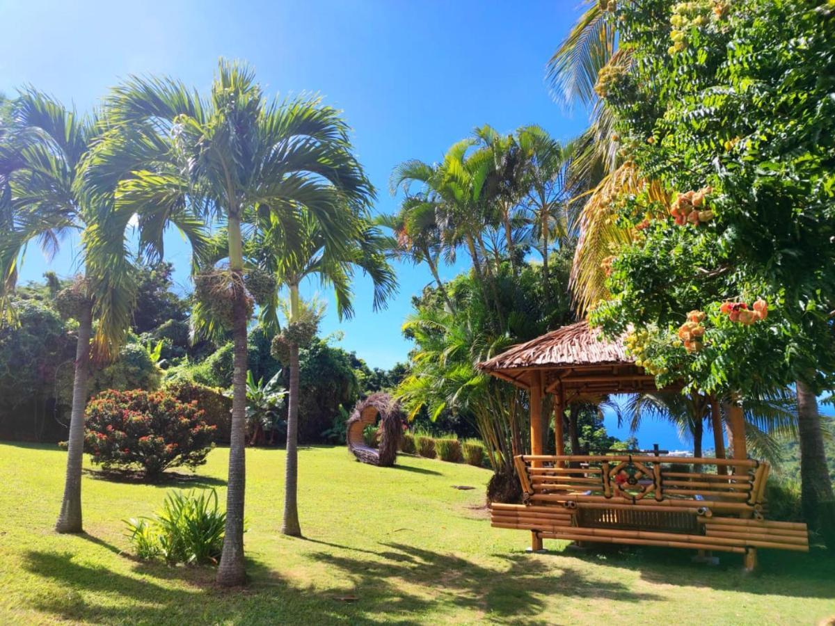 Gite 4 Etoiles, La Vieille Sucrerie St Claude Guadeloupe, Jacuzzi Spa Privatif, Vue Exceptionnelle Sur La Mer Des Caraibes 바스테르 외부 사진