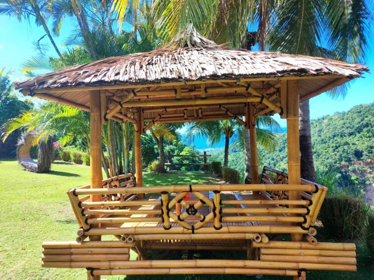 Gite 4 Etoiles, La Vieille Sucrerie St Claude Guadeloupe, Jacuzzi Spa Privatif, Vue Exceptionnelle Sur La Mer Des Caraibes 바스테르 외부 사진